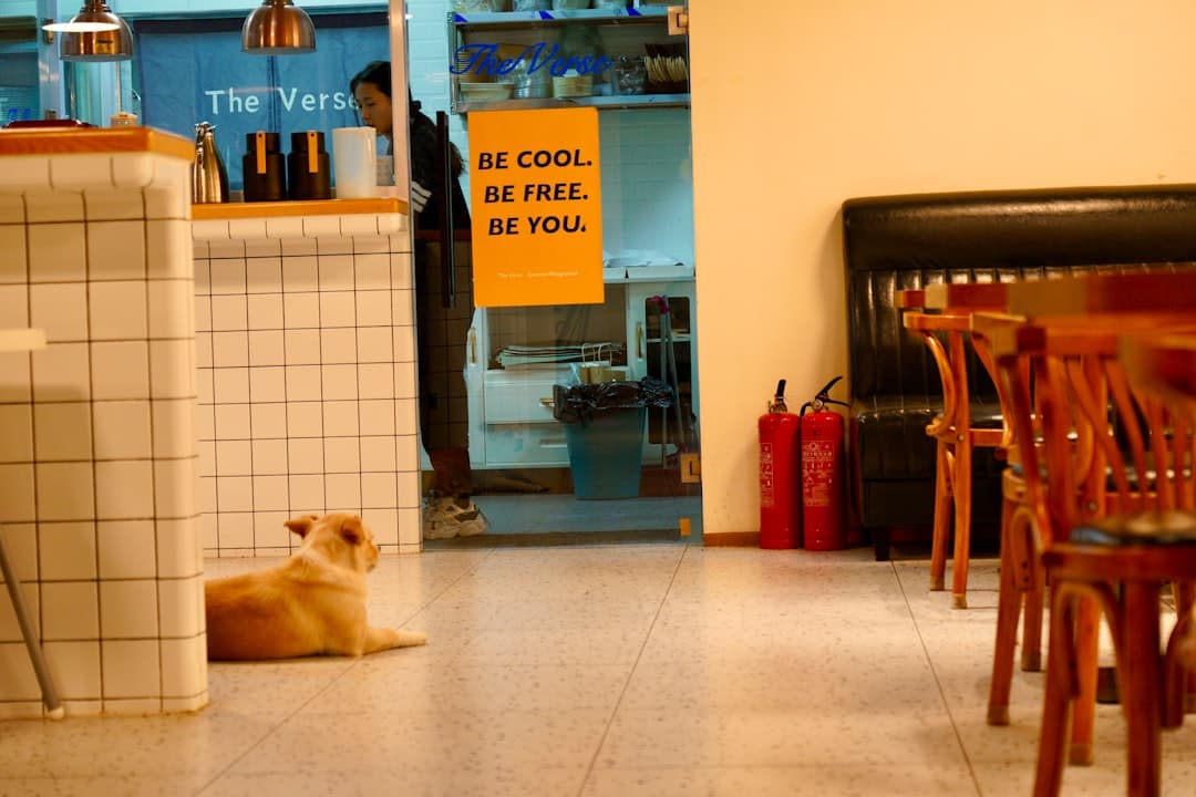 Inside Pawsome Pantry — a warm café interior with a dog waiting by the counter.